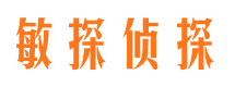 淮阳市侦探调查公司